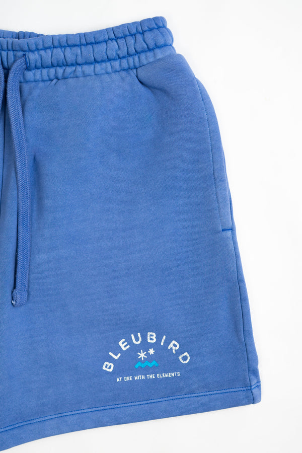 Ocean Original Womens Shorts