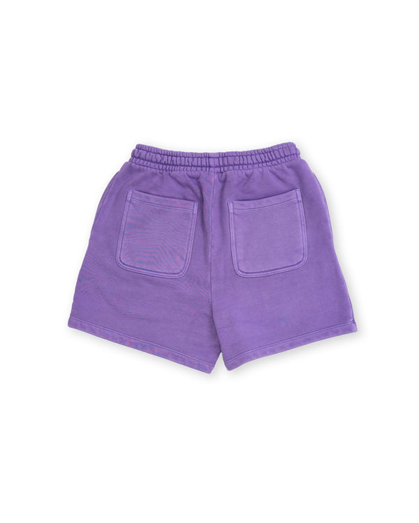 Violet Horizon Womens Shorts