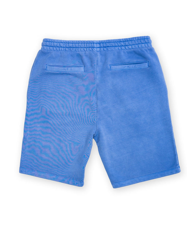 Ocean Horizon Mens Shorts