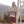 Poncho Leevs, Baumwolle Velours