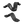 Free-V Foil 2024